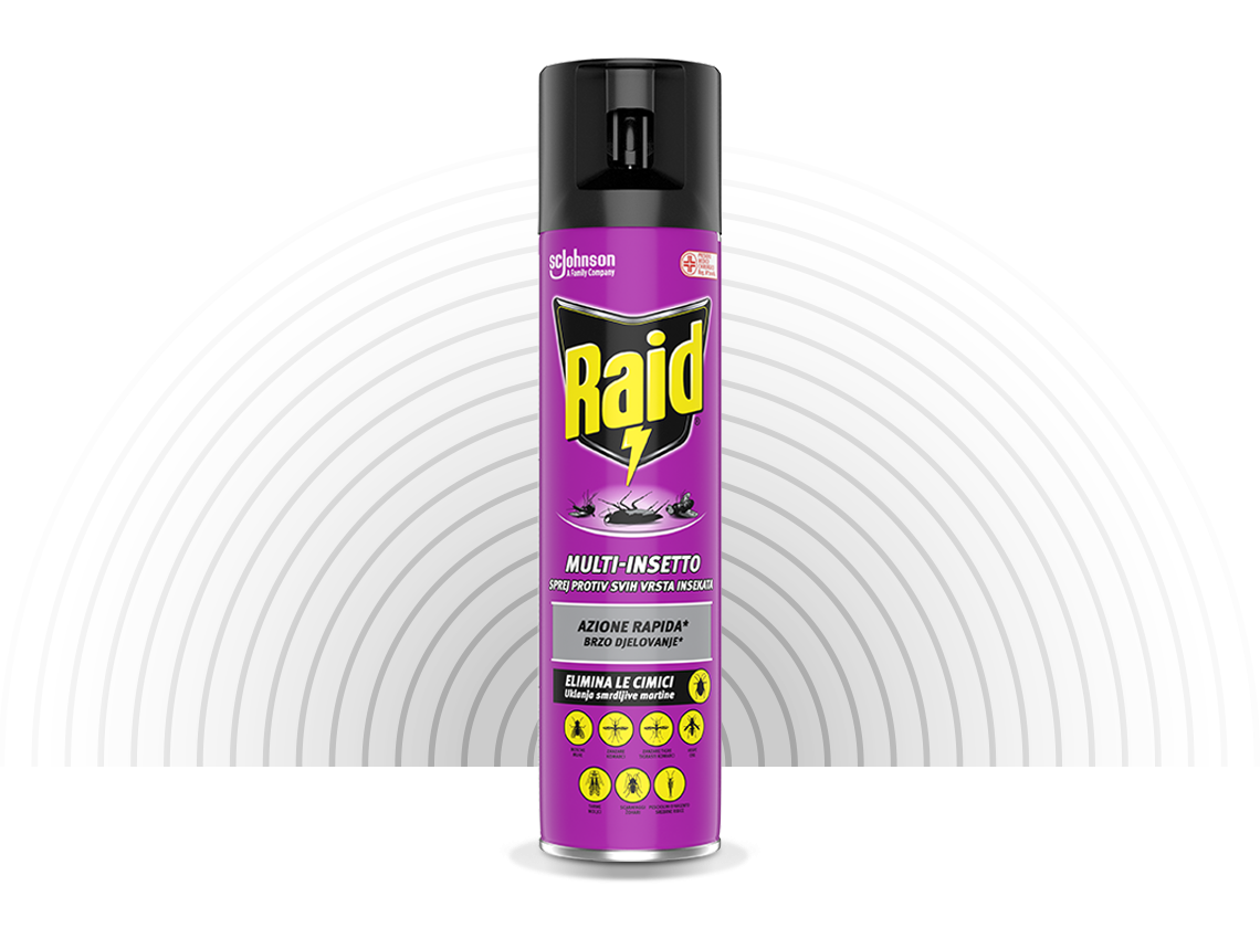 Raid Multi Insektenspray Insektizid 400 ml