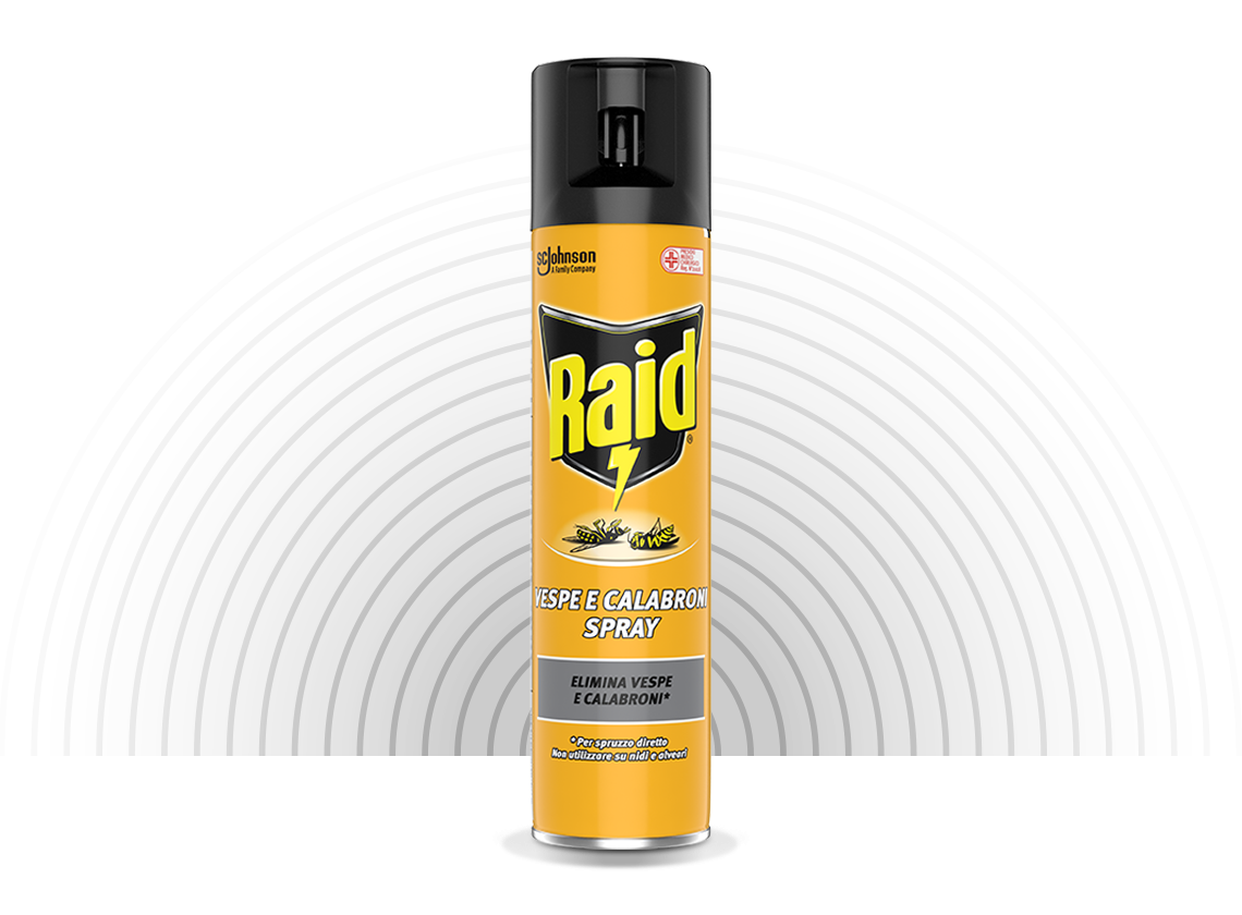 Raid Insetticida Vespe E Calabroni Spray 400 ml